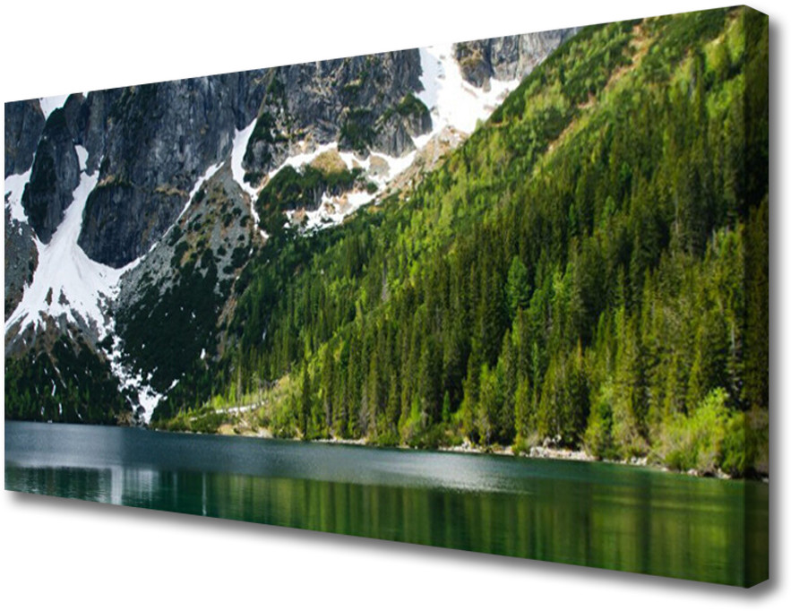 PL Tulup Obraz Canvas Jezioro Las Góry Krajobraz 120x60cm
