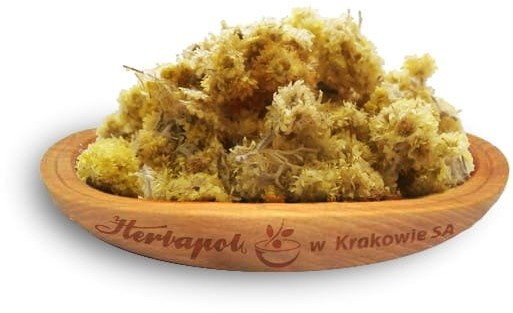 Producent niezdefiniowany Herbapol herbatka kwiatostan kocanek 20 g