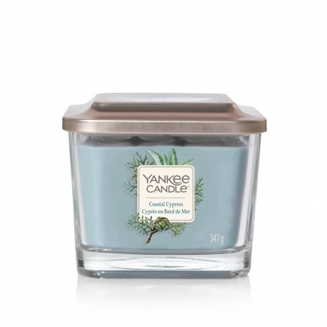 Yankee Candle ŚWIECA ELEVATION COASTAL CYPRESS 347G