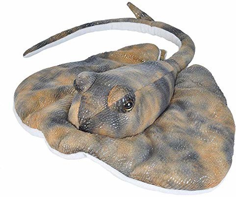 Wild Republic Southern Ray pluszowa pluszowa zabawka, przytulanka do przytulania, prezenty dla dzieci 30 cm 21470