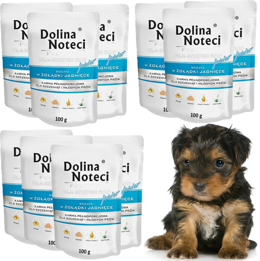 Dolina Noteci JUNIOR MINI Żołądki Jagnięce MAŁE RASY Zestaw 10 x 100g  od 95zł +DO 3% ZWROTU W PROGRAMIE LOJALNOŚCIOWYM ZEST-DNP-100-JUN-JA