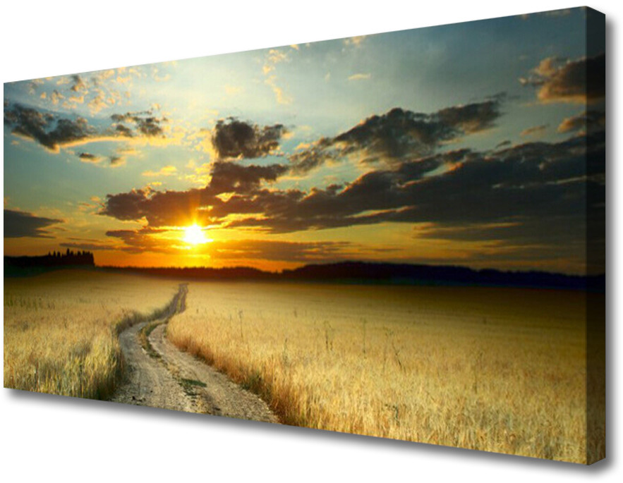 PL Tulup Obraz Canvas Dróżka Pole Krajobraz 100x50cm