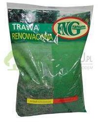 Fn Granum Mieszanka traw Renowacyjna 1kg