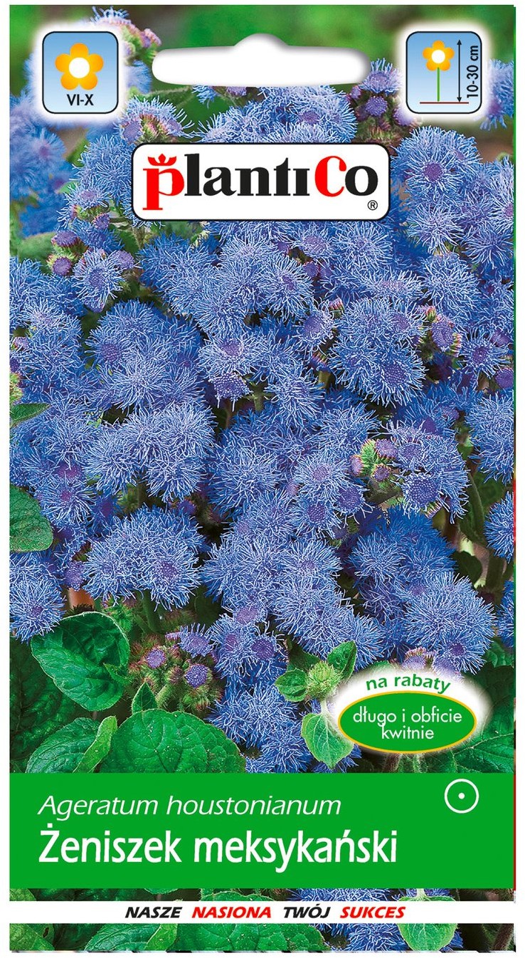 Plantico Żeniszek meksykański Mini