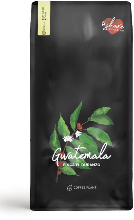 Coffee Plant kawa Gwatemala Finca El Duranzo 1000g CPGFED1