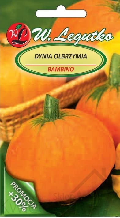 Legutko sp. z o.o Nasiona Dynia olbrzymia Bambino, pomarańczowa, 4g