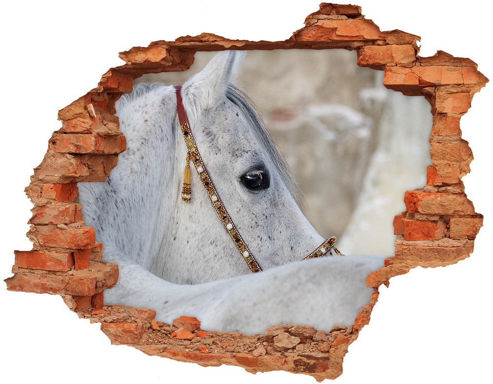 Wallmuralia.pl Dziura 3d fototapeta naklejka Biały koń arabski