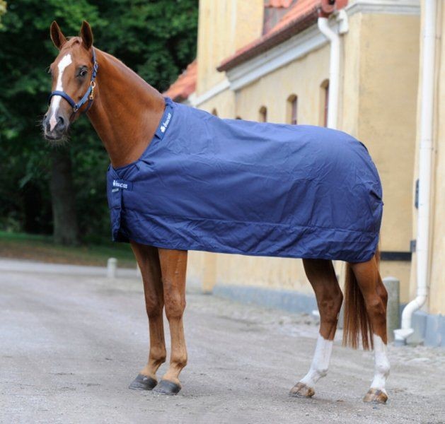 Bucas Derka stajenna / podpinka 150g MULTI STABLE UNDERBLANKET SD - Bucas - navy