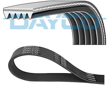 DAYCO Pasek klinowy wielorowkowy DAYCO 5PK1125