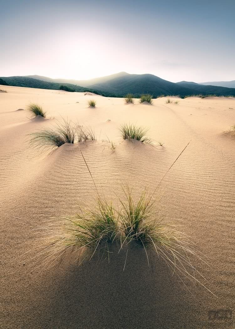 Komar Fototapeta Vivid Dunes SHX4-091 SHX4-091