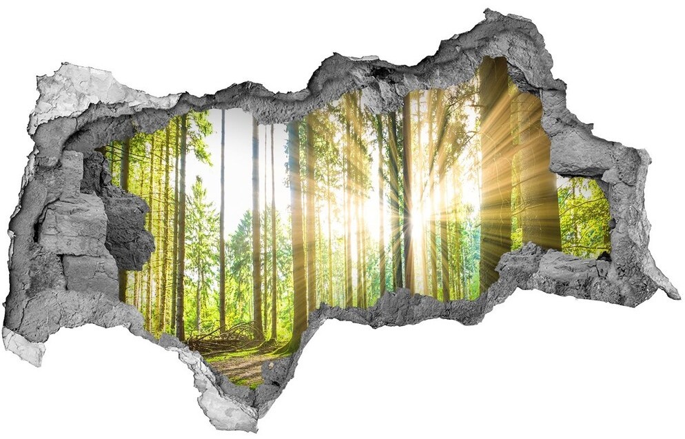 Wallmuralia.pl Dziura 3d foto tapeta naklejka Kotek w swetrze