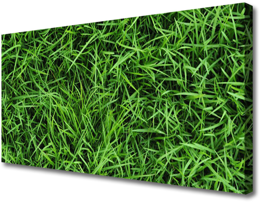PL Tulup Obraz na Płótnie Trawa Trawnik 100x50cm