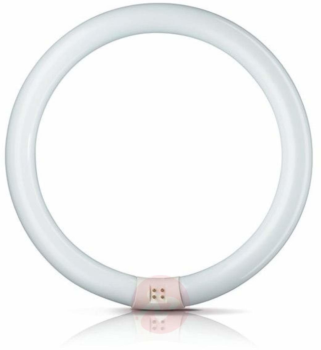 Philips G10q 22W 840 świetlówka Master Circular TL-E