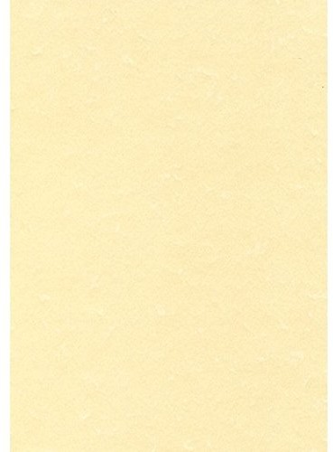 Decadry DECAdry Everyday papier listowy zewnętrzny plakat wysokiej jakości (165 G/M, DIN A4), 50 arkuszy w kolorze szampana PCL1677