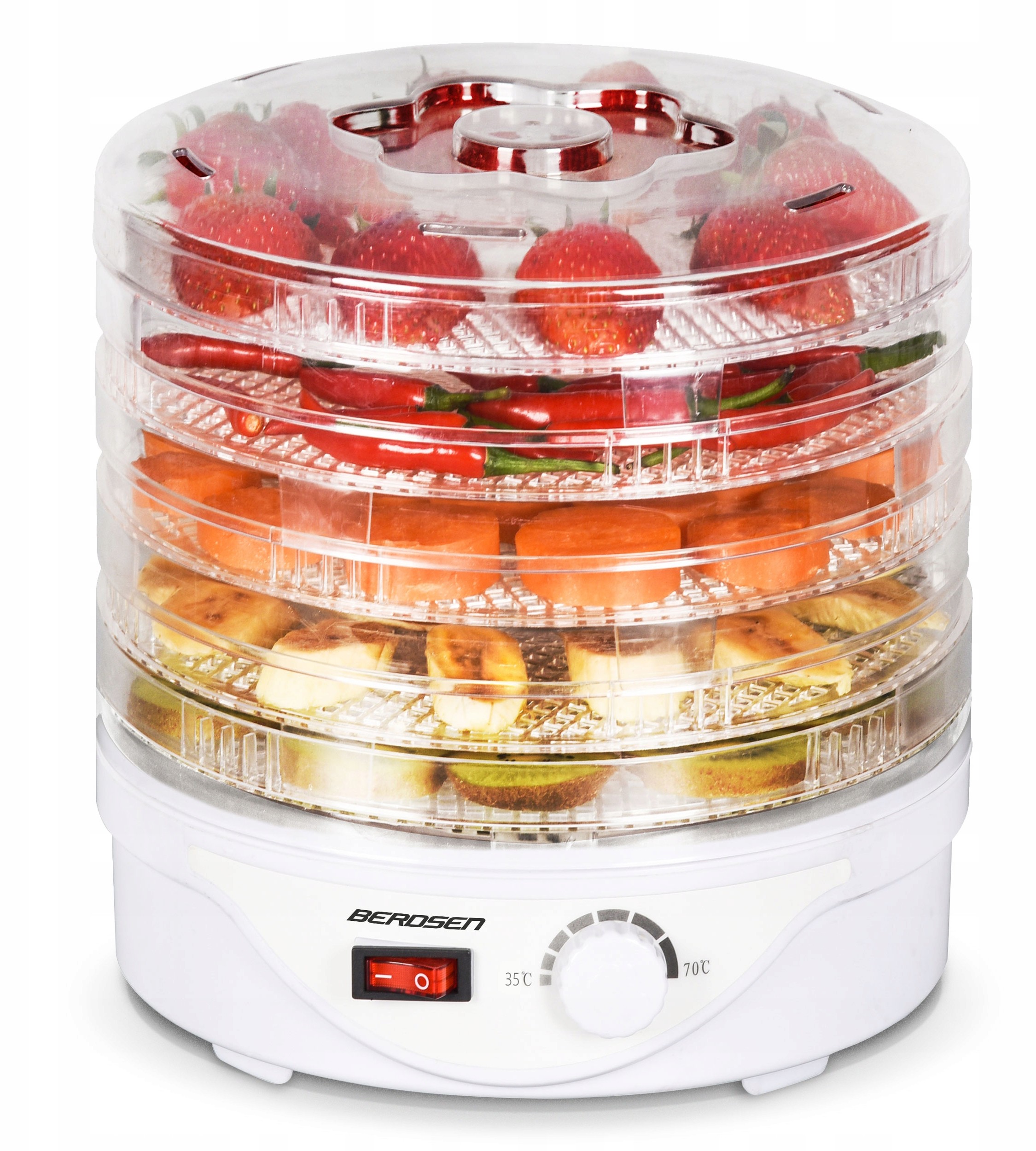Berdsen BS-620