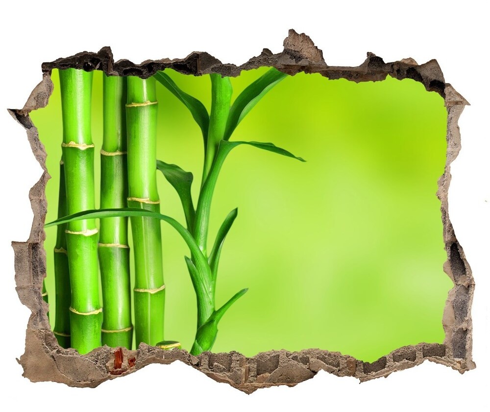 Wallmuralia.pl Samoprzylepna naklejka na ścianę Bambus