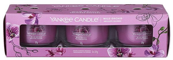 Yankee Candle Komplet świeczek wotywnych w Orchid 3 x 37 g