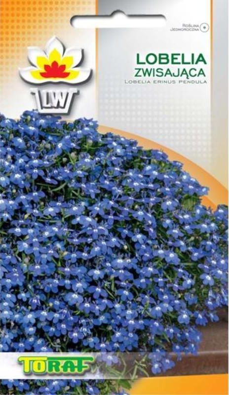 Toraf KWIATY Lobelia zwisająca niebieska 0,2g 00422