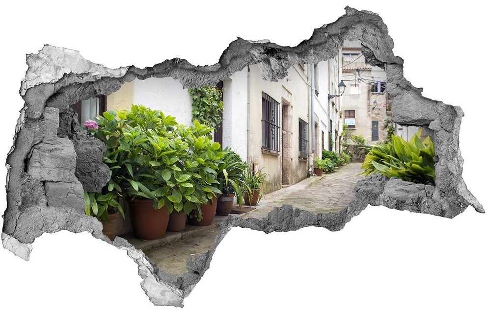 Wallmuralia.pl Fototapeta dziura na ścianę 3d Urokliwa uliczka