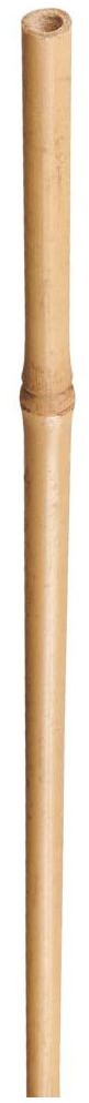 Nortene Tyczka bambusowa 90cm x 8/10 mm