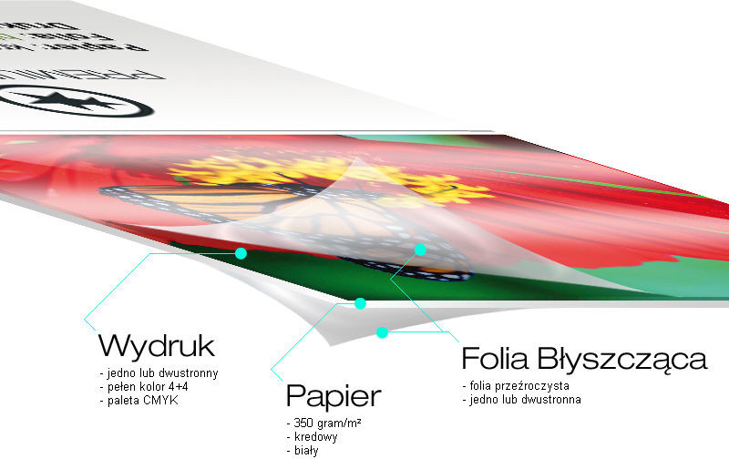 Veraprint Wizytówki PREMIUM BŁYSK 100 szt.
