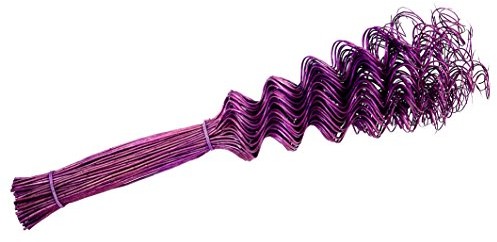 Steingaesser 12000 03 6702 Twisted Willow, ściągacz na 50 cm 80 łodyg, Azalia 12000 03 6702