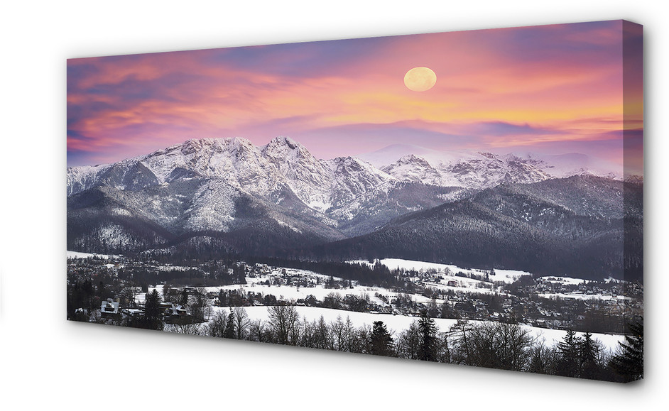 PL Tulup Obrazy na płótnie Góry zima śnieg 100x50cm