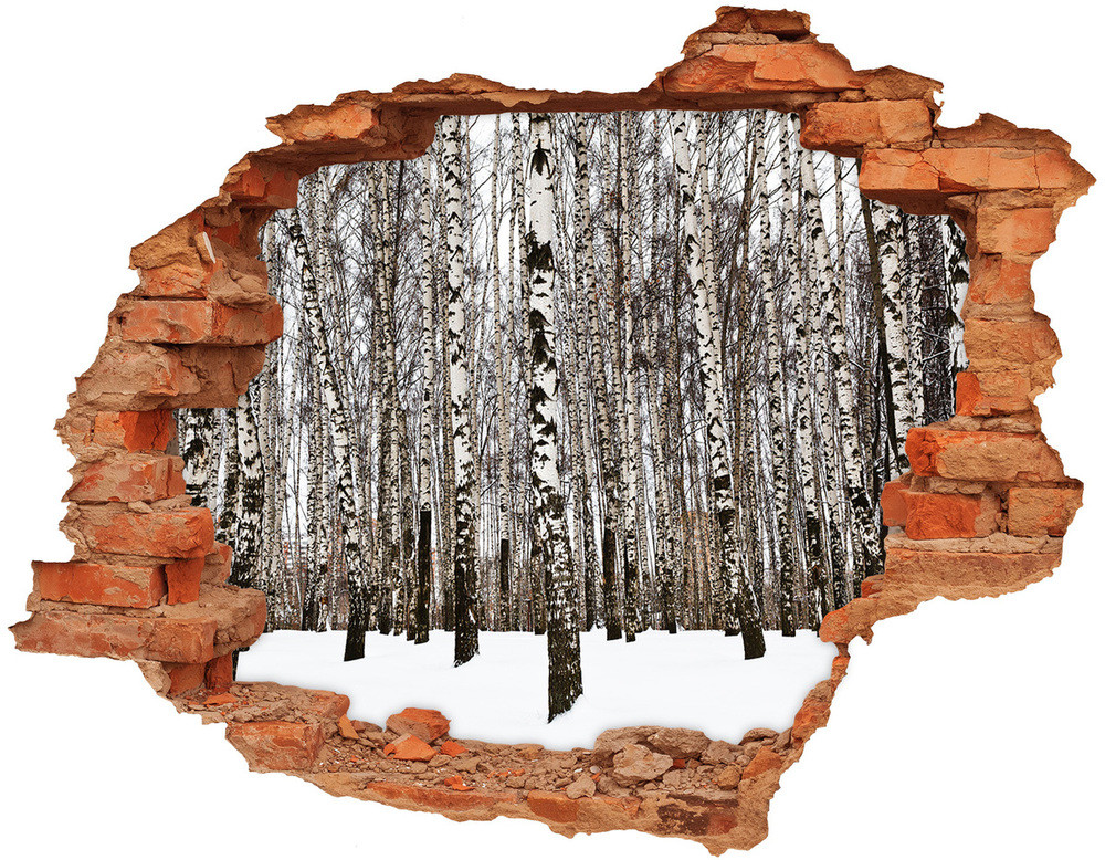 Wallmuralia.pl naklejka fototapeta 3D widok Brzozy zimą