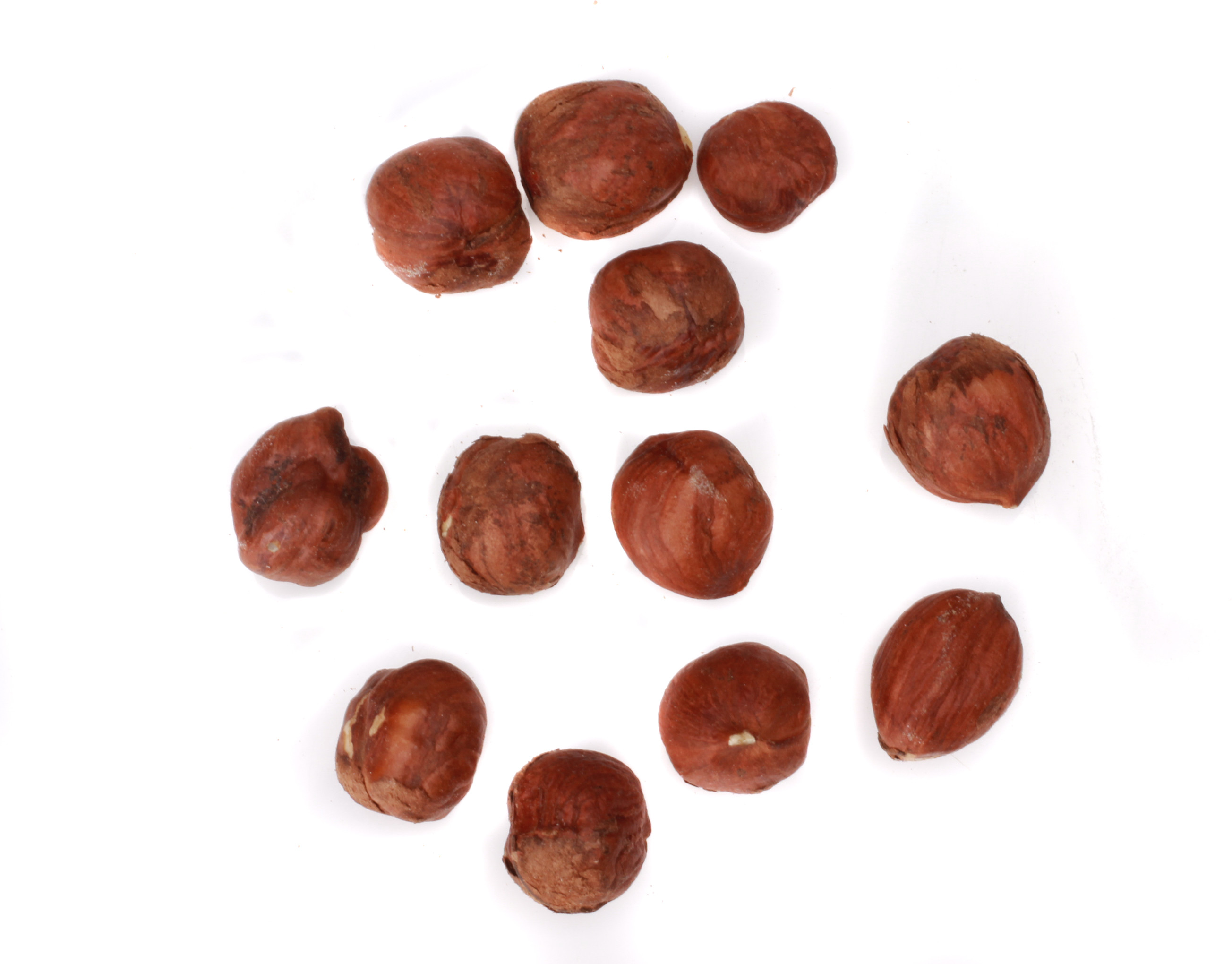 Planteon Orzech laskowy 10kg 2-0405-01-7