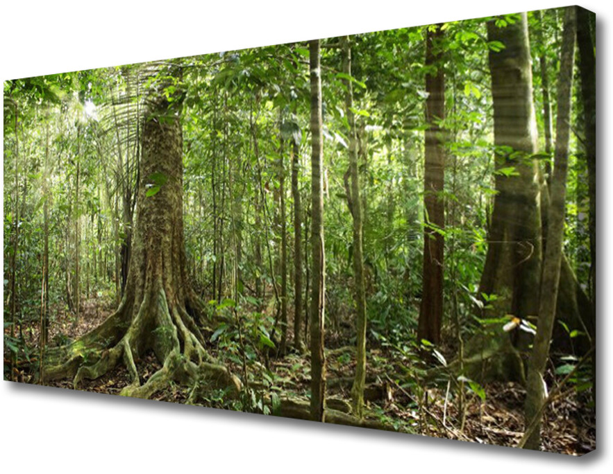 PL Tulup Obraz Canvas Las Natura Dżungla Drzewa 100x50cm