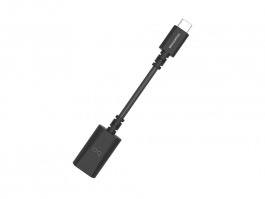 Audioquest Audioquest DragonTail Kabel USB-C