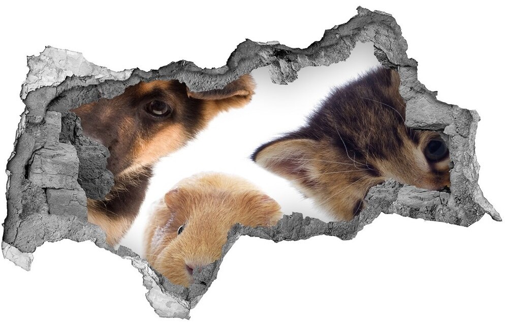 Wallmuralia.pl Dziura 3d fototapeta naklejka Zwierzęta domowe
