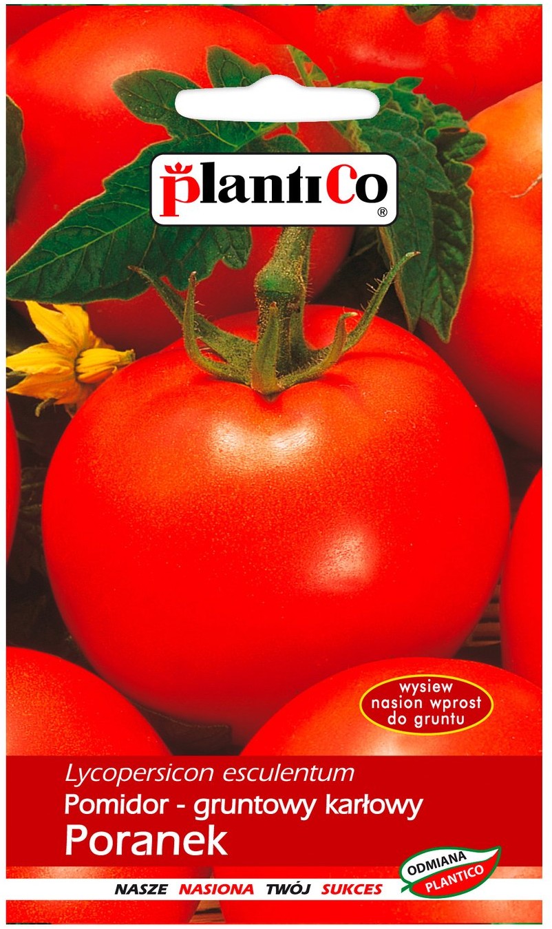 Plantico Pomidor Poranek