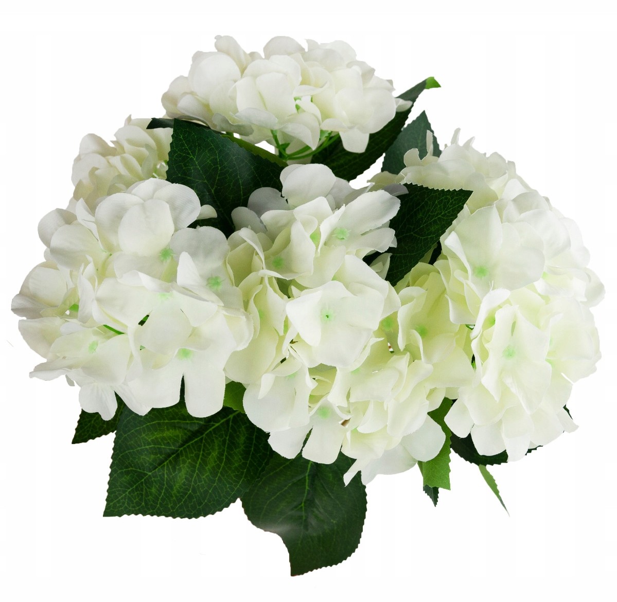 Hortensja bukiet hortensji 7 kwiatów Biały Liście