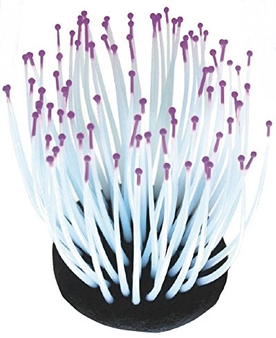 Wave a8011612 Fluo Reef ANEMONE Mixed Colors, 7.2 x 7.2 x 9 cm