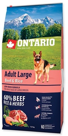 Ontario Adult Large