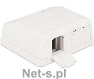 Delock Keystone Obudowa 2P Surface Box white (86236)