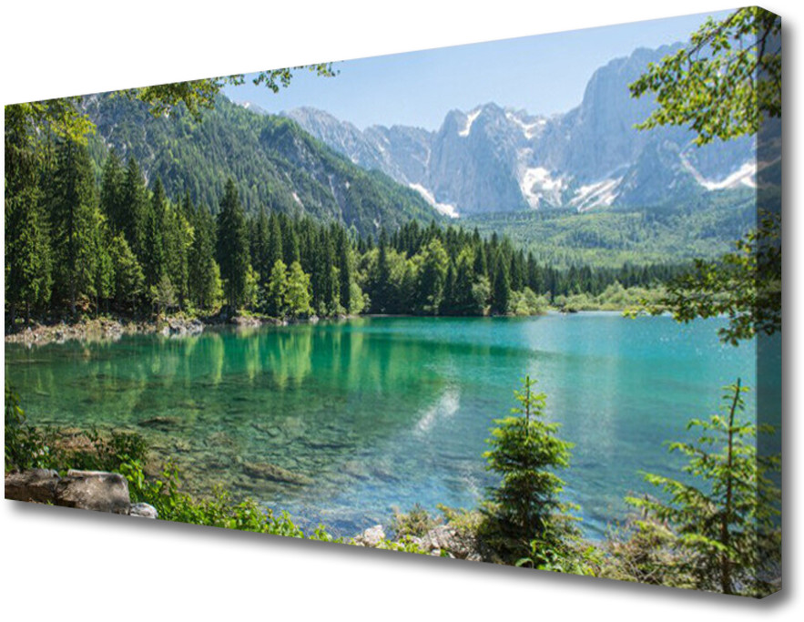 PL Tulup Obraz Canvas Góry Jezioro Las Przyroda 100x50cm