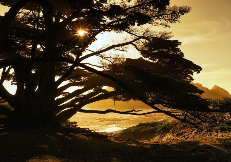 Komar Fototapeta Perfect Moment IANGX8-020 IANGX8-020_opcje