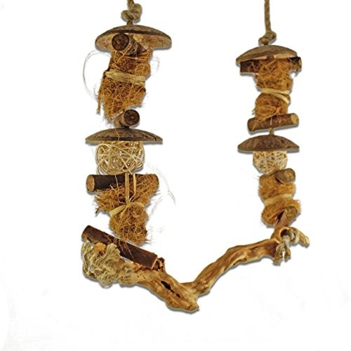 HappyBird happybird | naturalny zapewnia Szary papugi na biegunach & Co.