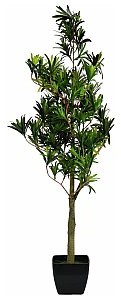 Europalms EUROPALMS Podocarpus, sztuczna roślina, 90 cm 82511520