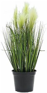 Europalms Europalms Feathergras, white, 60cm, Sztuczna trawa 82505864