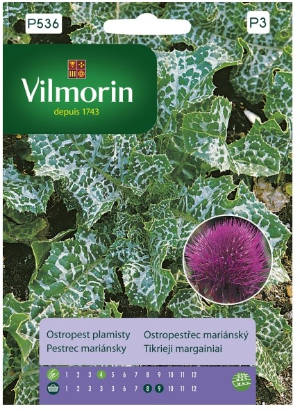 Vilmorin Nasiona ostropest plamisty