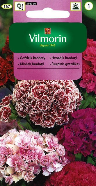 Vilmorin Goździk brodaty wielokwiatowy 0,5g