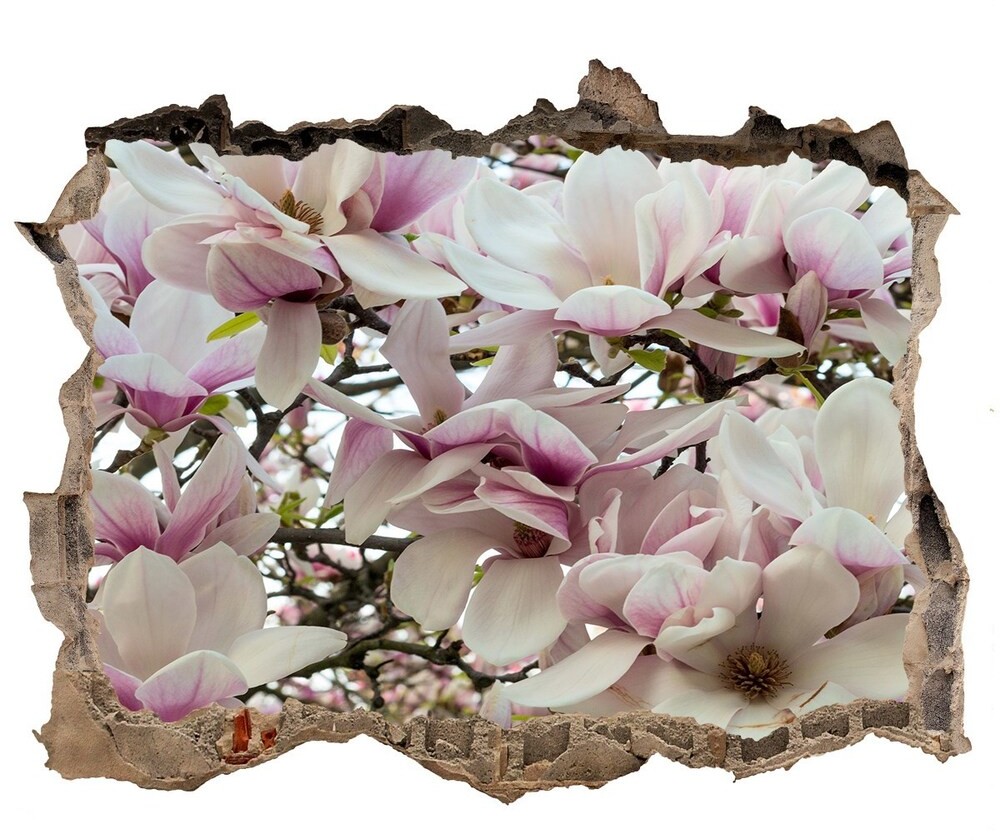 Wallmuralia.pl Samoprzylepna naklejka fototapeta Kwiaty magnolii