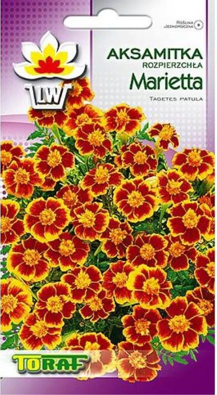 Toraf KWIATY Aksamitka Marietta nasiona 1g 00300