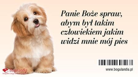 Bogulandia Magnes na lodówkę Panie Boże spraw, abym był takim