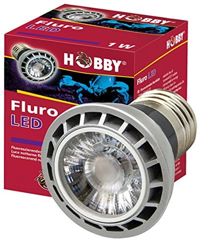 Hobby Fluro LED 1 W 37600
