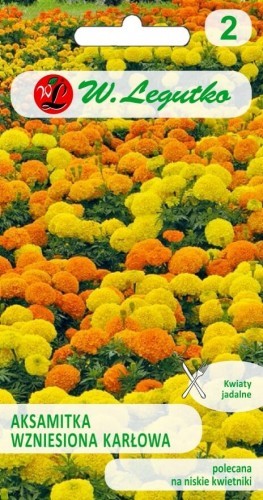 Legutko Aksamitka wzniesiona karłowa mieszanka 5903837331000