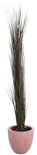 Europalms Euro Palms 82505853 paski 127 cm do trawy, khaki 82505853